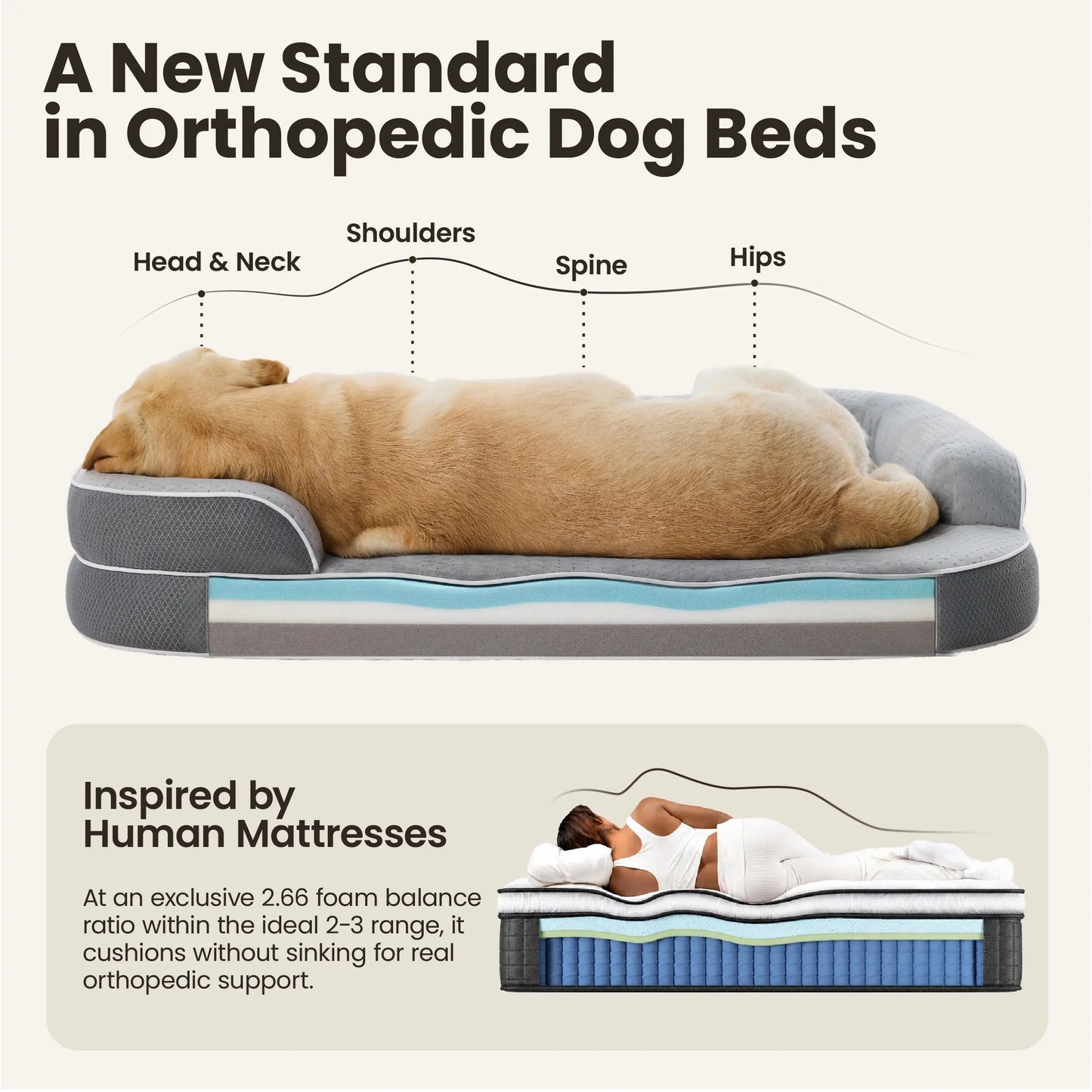 Lesure Realortho Orthopedic Dog Bed - Premium Memory Foam Support for Large and Senior Dogs, Joint Protection with Waterproof Washable Cover for Enhanced Comfort and Deep Sleep