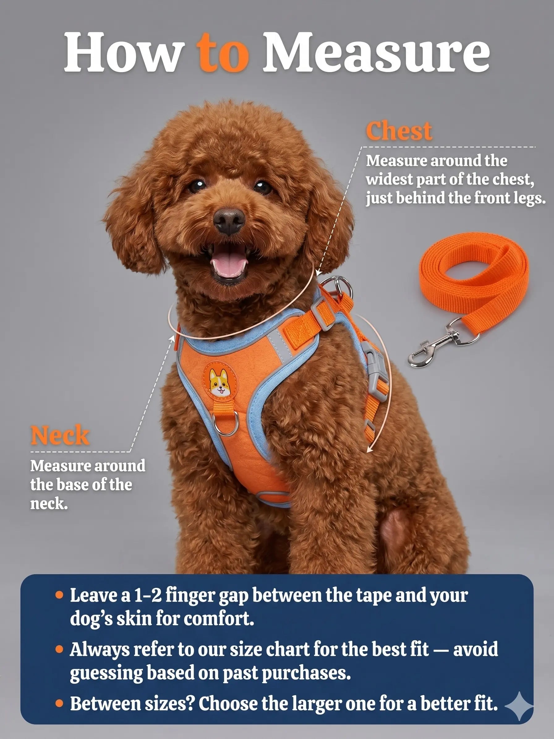 Adjustable Pet Harness and Leash Set - Soft Suede Vest, Durable and Reflective, Tangle-Free Leash for Convenient Walking, Perfect for Daily Use and Nighttime Outdoor Activities