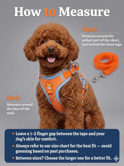 Adjustable Pet Harness and Leash Set - Soft Suede Vest, Durable and Reflective, Tangle-Free Leash for Convenient Walking, Perfect for Daily Use and Nighttime Outdoor Activities