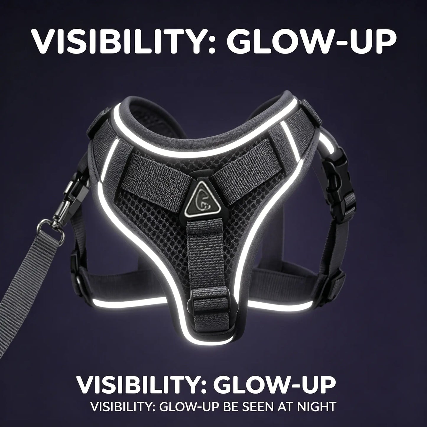 Adjustable Escape-Proof Cat Harness and Leash Set with Reflective Strip and Soft Mesh Vest for Safe Walking - Includes Breathable Summer Version