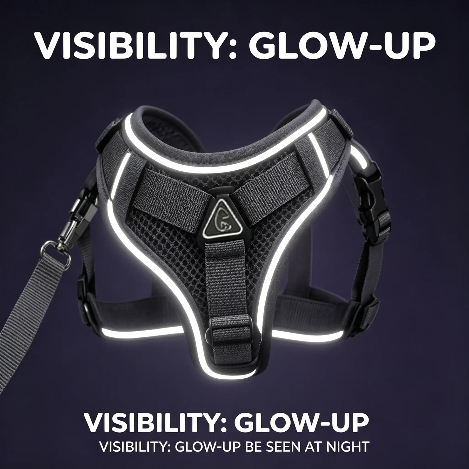 Adjustable Escape-Proof Cat Harness and Leash Set with Reflective Strip and Soft Mesh Vest for Safe Walking - Includes Breathable Summer Version
