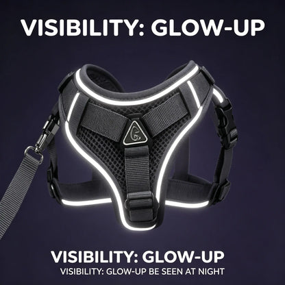 Adjustable Escape-Proof Cat Harness and Leash Set with Reflective Strip and Soft Mesh Vest for Safe Walking - Includes Breathable Summer Version