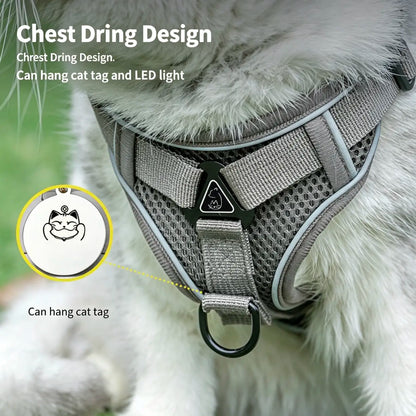 Adjustable Escape-Proof Cat Harness and Leash Set with Reflective Strip and Soft Mesh Vest for Safe Walking - Includes Breathable Summer Version